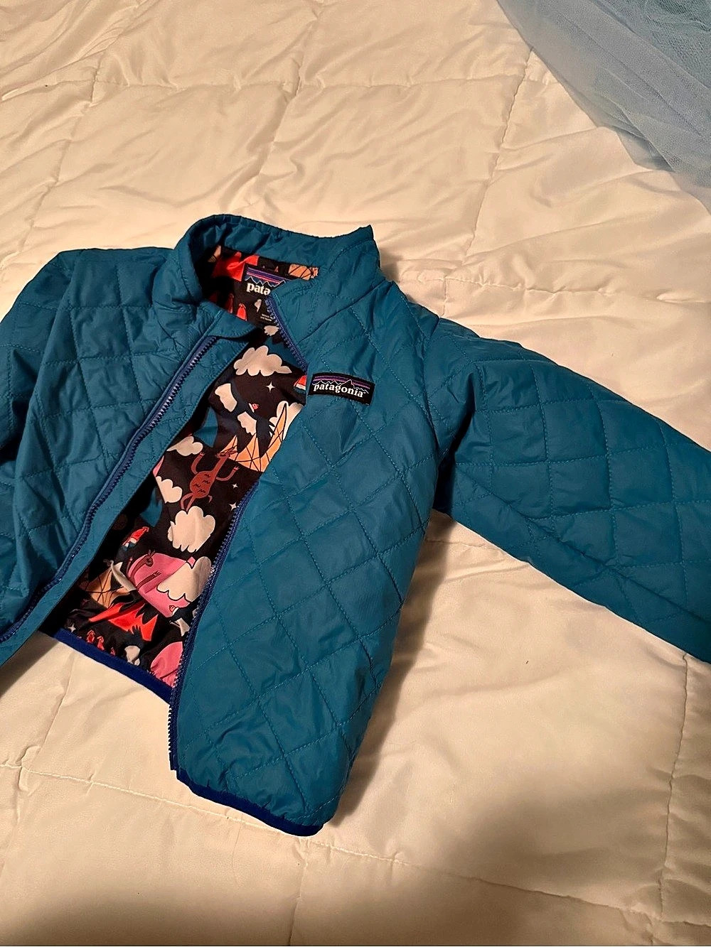 Patagonia Kids' Blue F Jacket